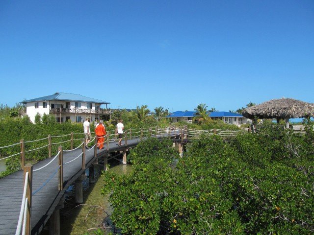 Eleuthera Island School - Bahamas (5)