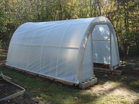 DIY hoop house/greenhouse