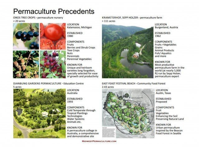 Midwest Permaculture - Permaculture Primer jpg_Page12