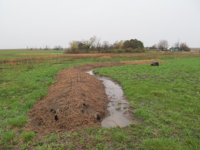 In this hugelkultured swale, both the ditch and the wood in the berm are holding rain water.