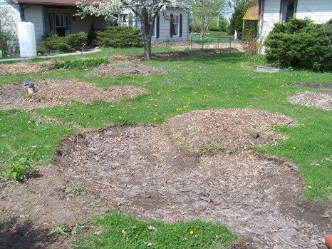 Raingarden Before