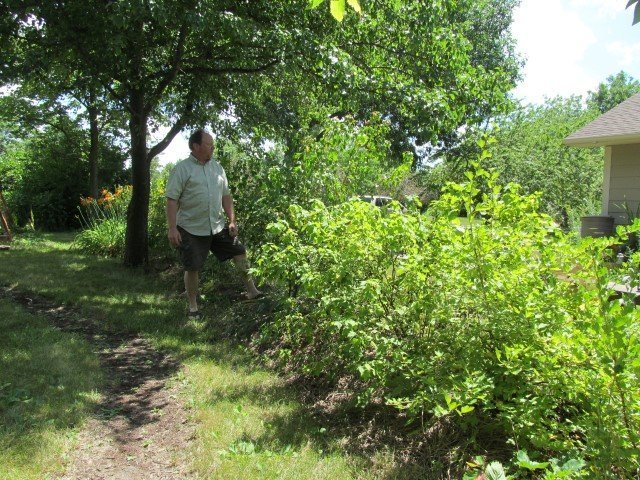 Bill and the Currants