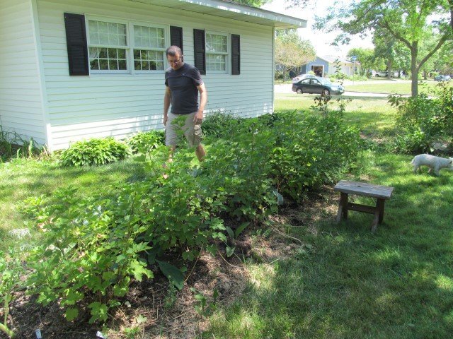 Milton Inspects the Currants